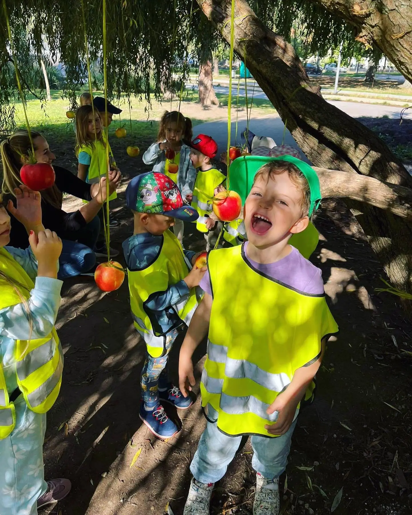 odpowiedzi na pytania